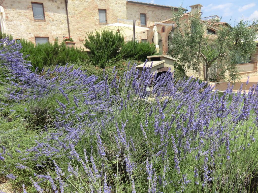 La Pieve Di San Martino Guest House Colle Val D'Elsa Bagian luar foto